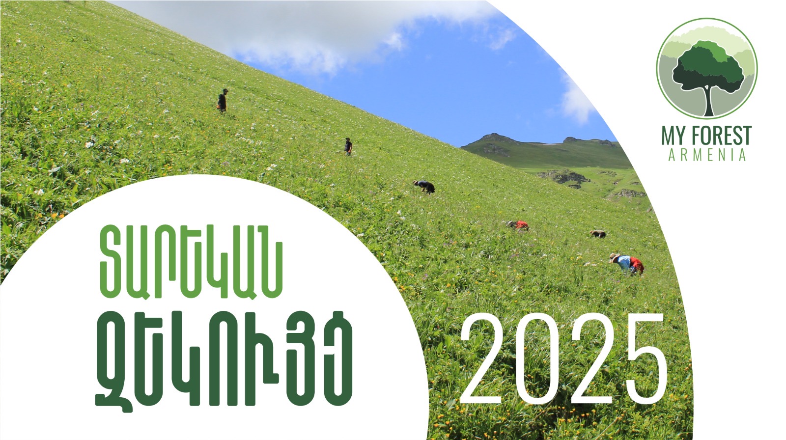 MFA Annual Report 2025 ARM version