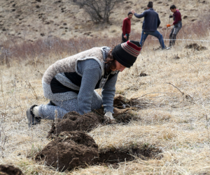 326.000 ARBRES PLANTÉS CE PRINTEMPS image 1