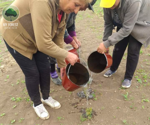 The team watered the saplings one by one