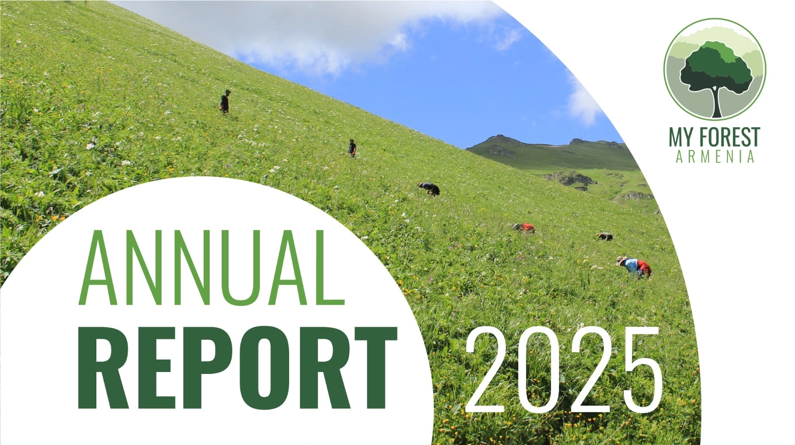 Annual Report My Forest Armenia 2025